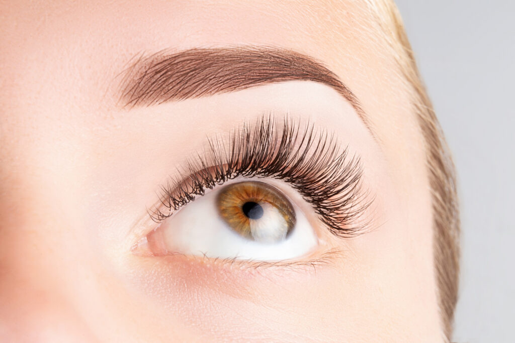 Female eye with long eyelashes. Classic 1D, 2D eyelash extensions and light brown eyebrow close up. Eyelash extensions, lamination, biowave, microblading concept.